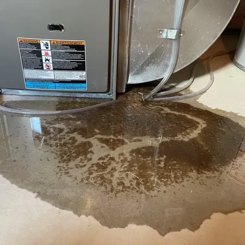 Appliance Leak Cleanup in Washington County, OR